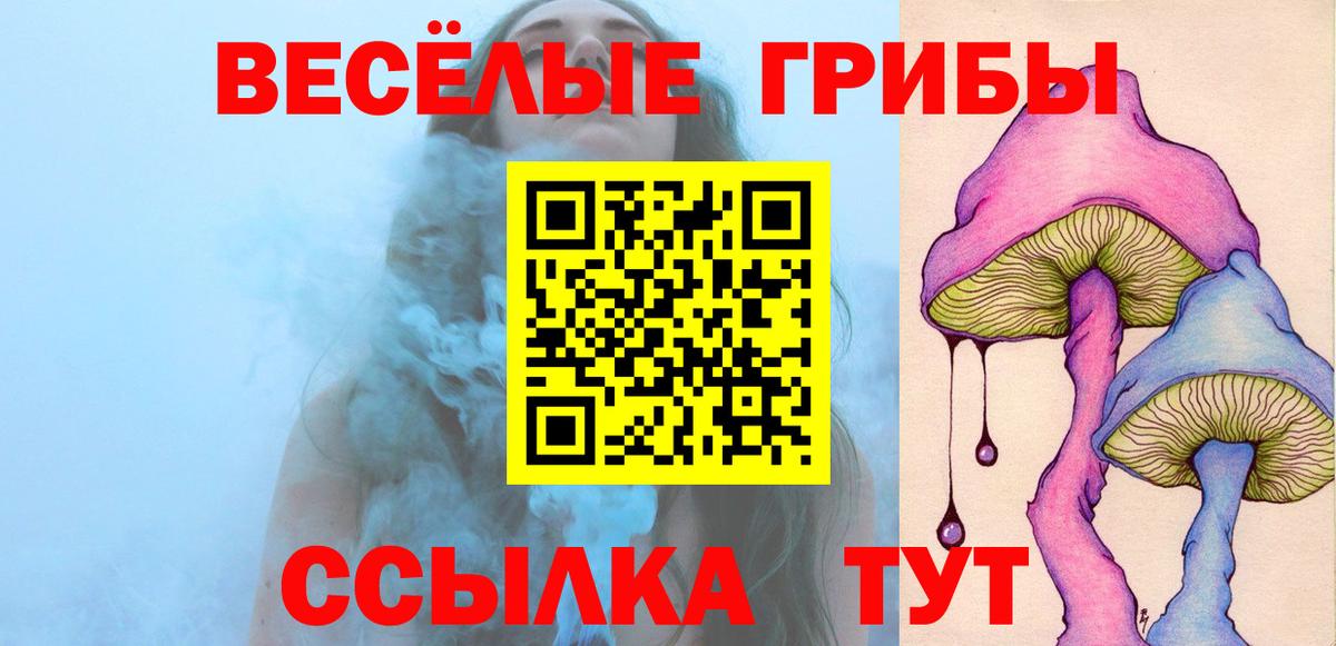 Псилоцибиновые грибы Psilocybine cubensis  Псилоцибиновые грибы MAGIC MUSHROOMS  Мурино  Вход с VPN 